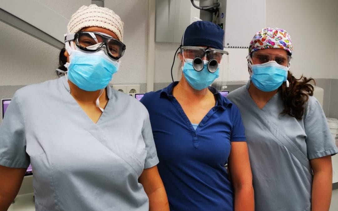 Professionelle Zahnreinigung während der Corona Pandemie: Geht das??